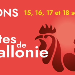 🐓 𝐅𝐄𝐓𝐄𝐒 𝐃𝐄 𝐖𝐀𝐋𝐋𝐎𝐍𝐈𝐄 ! 🐓 – Dans le centre-ville de Mons