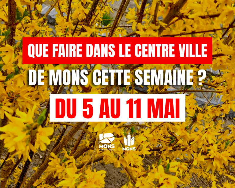 Nouveau projet (11)